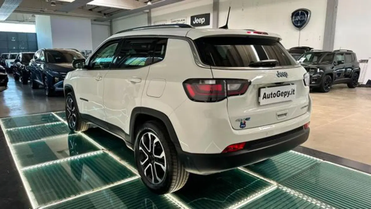 Jeep Compass usata a Reggio Emilia (4)