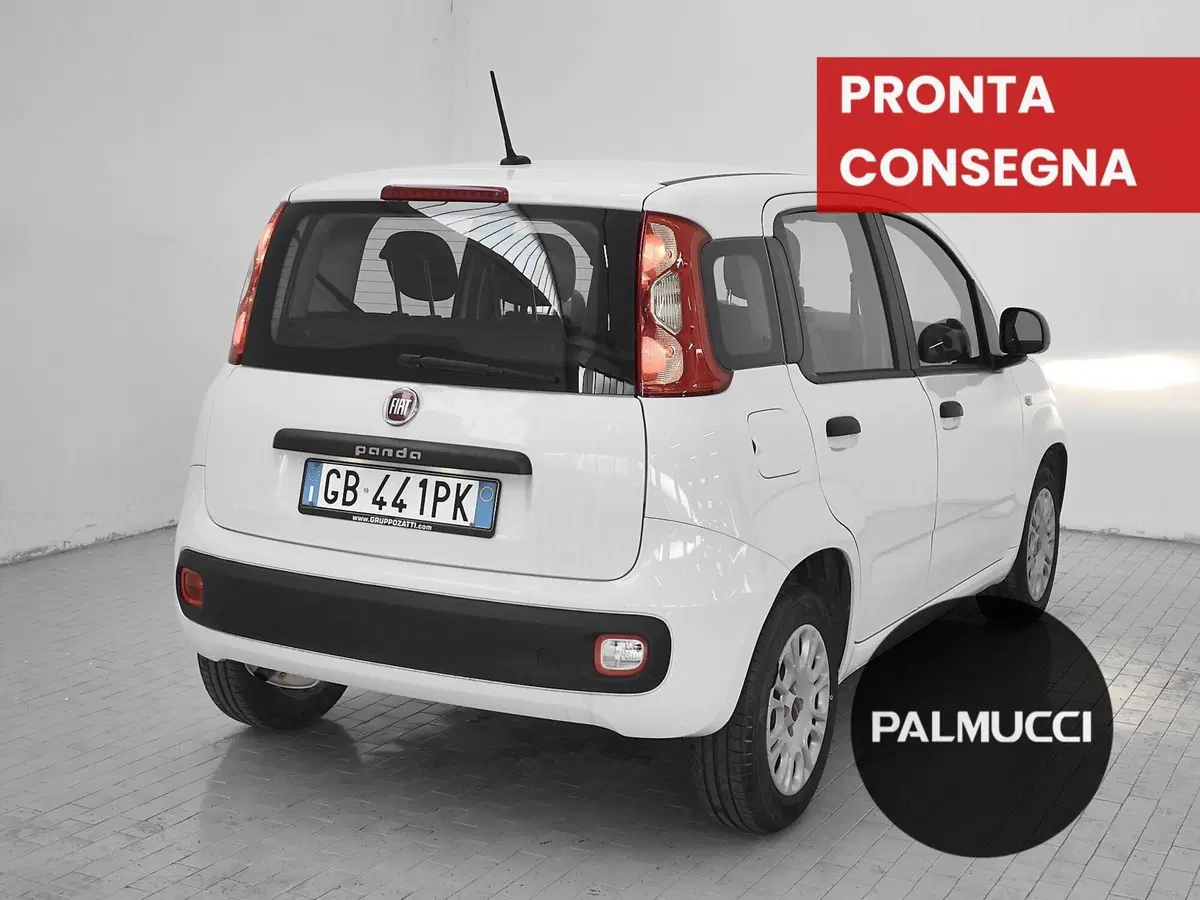 Fiat Panda usata a Prato (3)