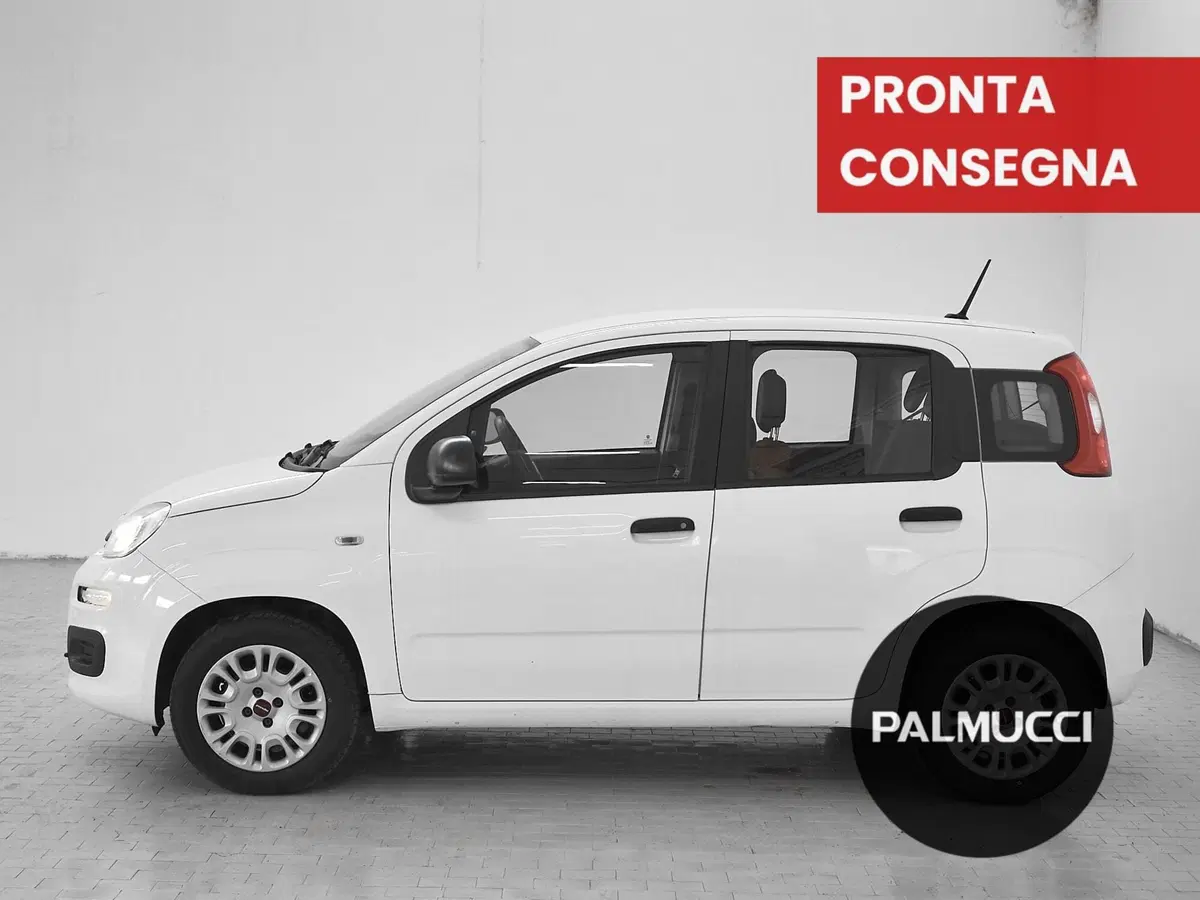 Fiat Panda usata a Prato (4)