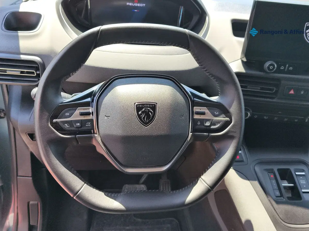 Peugeot Rifter usata a Brescia (10)