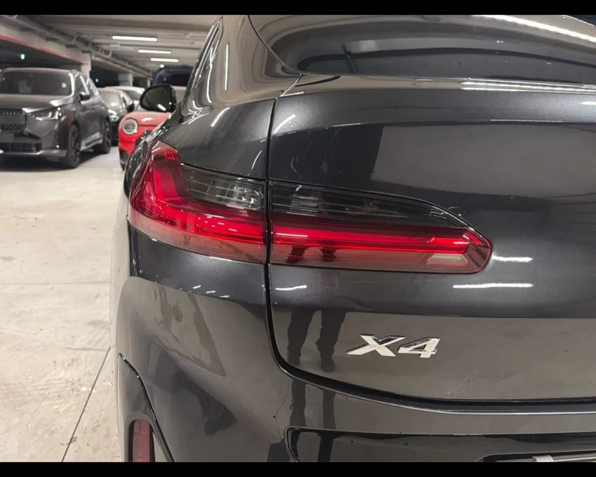 BMW X4 usata a Napoli (12)