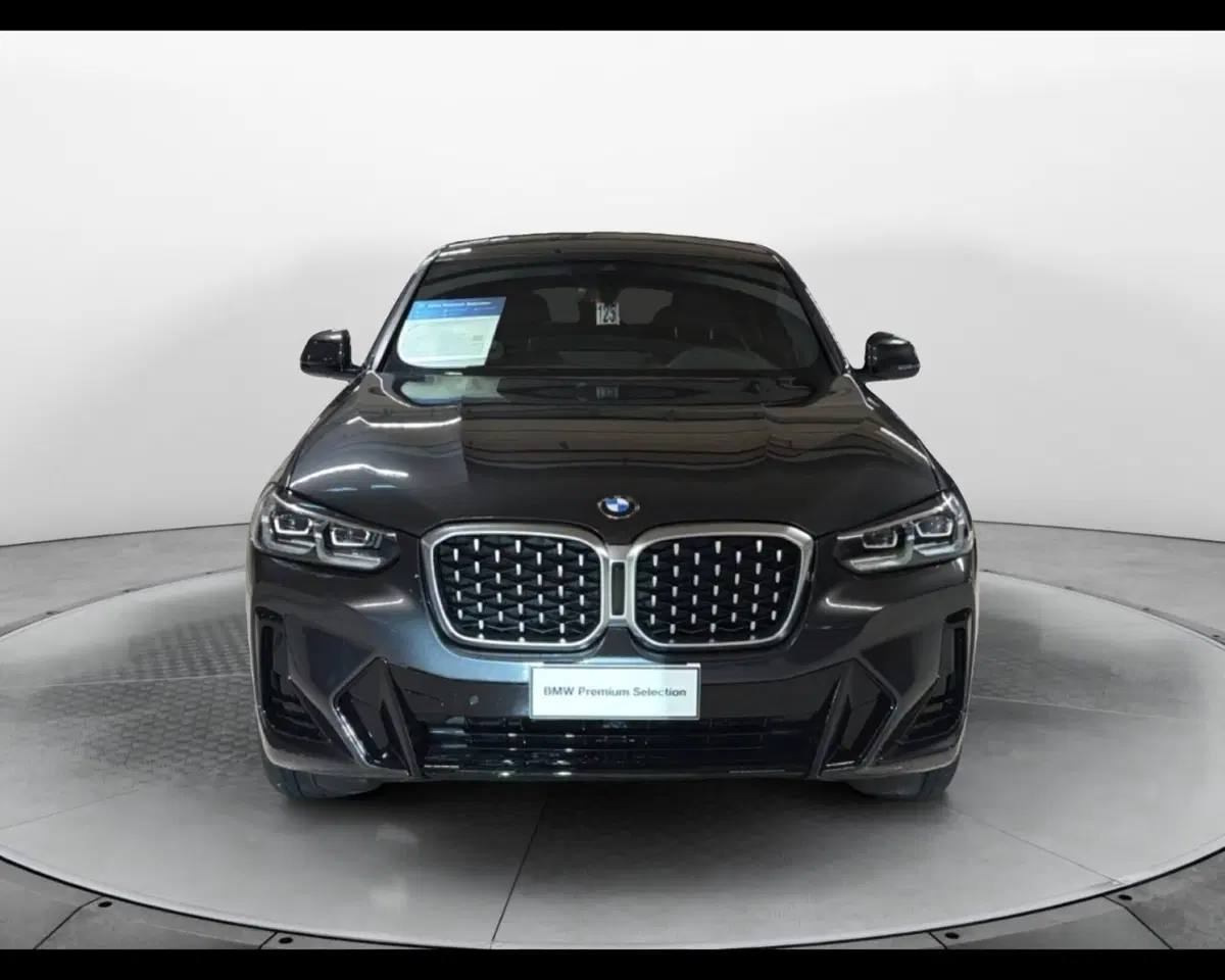 BMW X4 usata a Napoli (3)