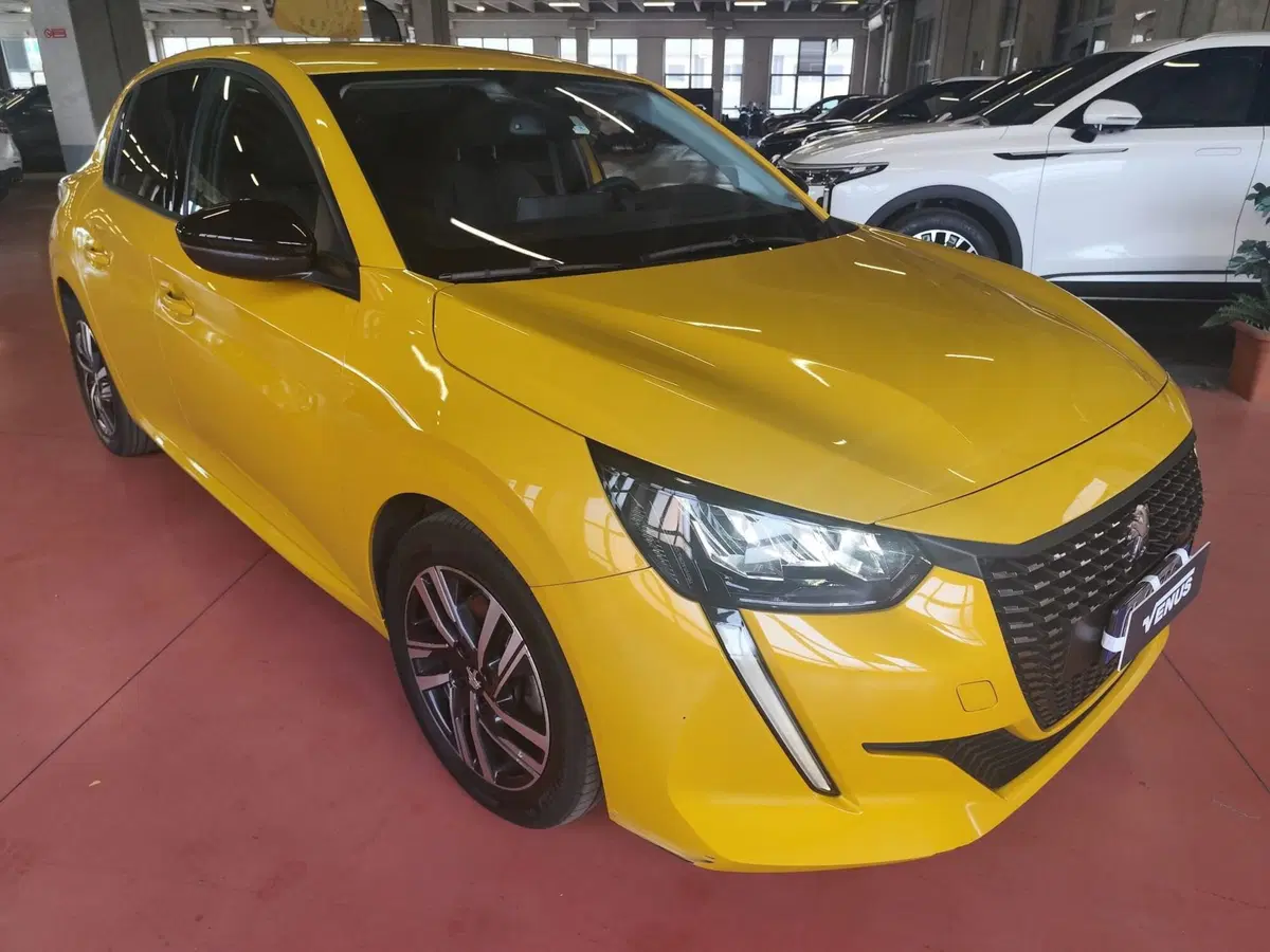 Peugeot 208 usata a Milano (8)