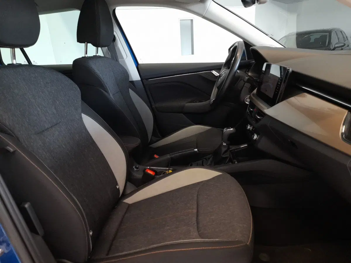 Skoda Kamiq usata a Bologna (19)