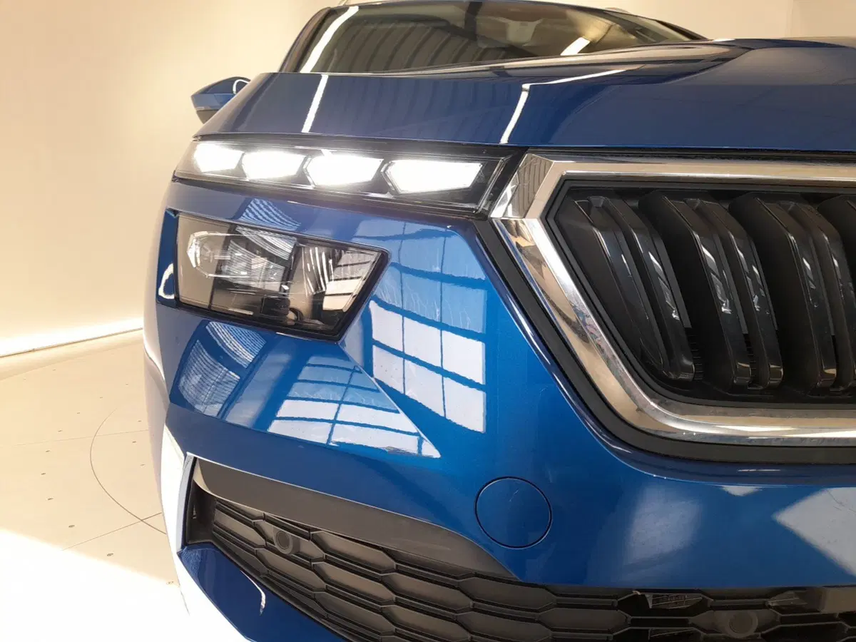 Skoda Kamiq usata a Bologna (7)