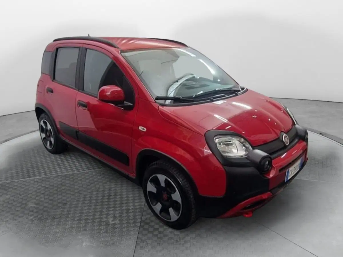 Fiat Panda Cross usata a Salerno (2)