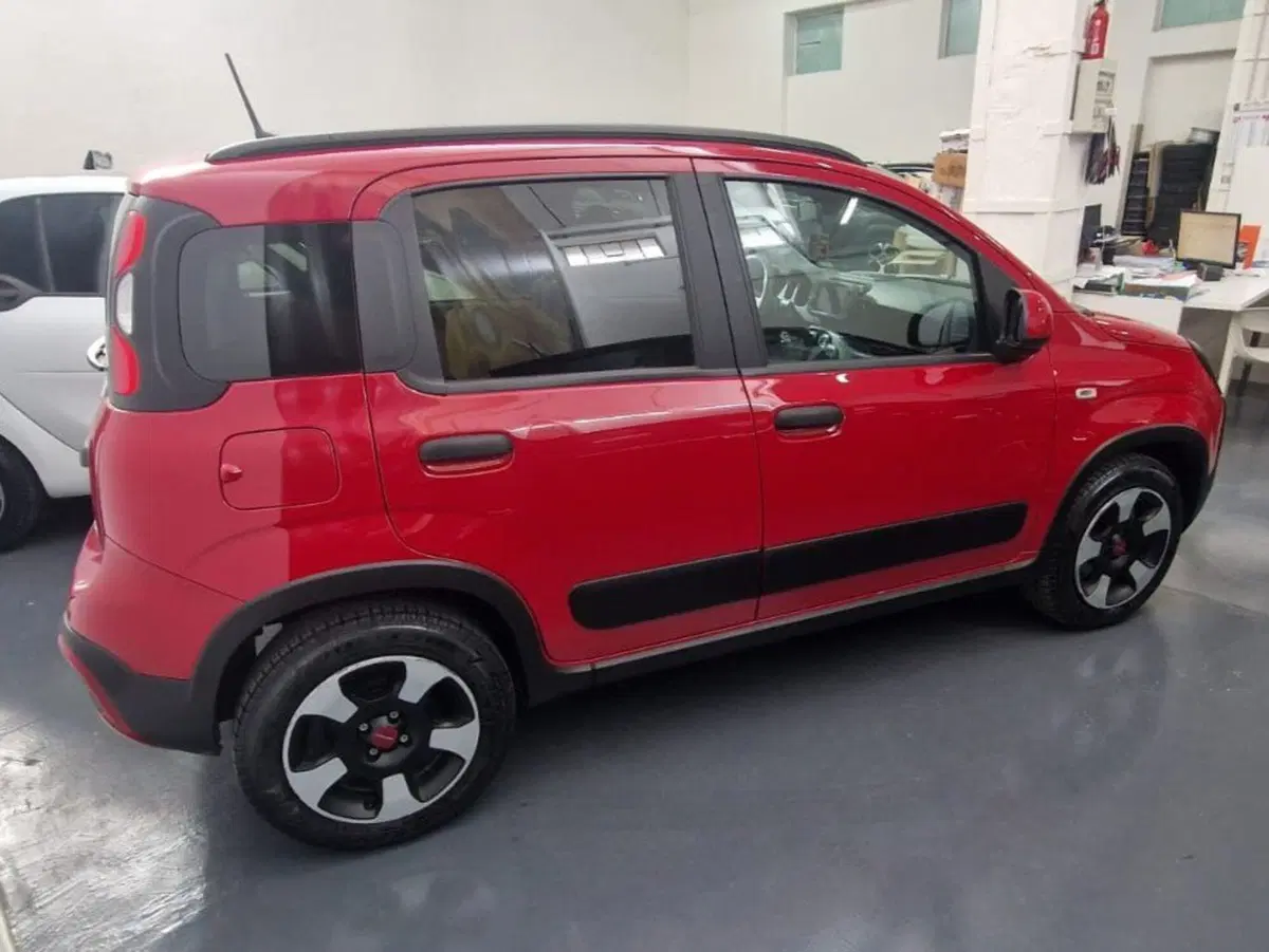 Fiat Panda Cross usata a Salerno (4)