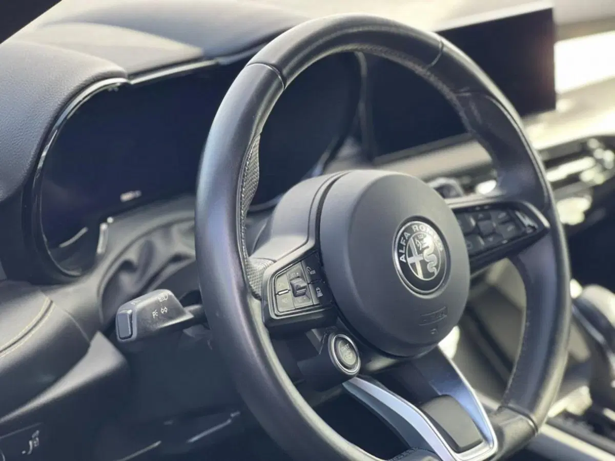 Alfa Romeo Tonale usata a Salerno (6)