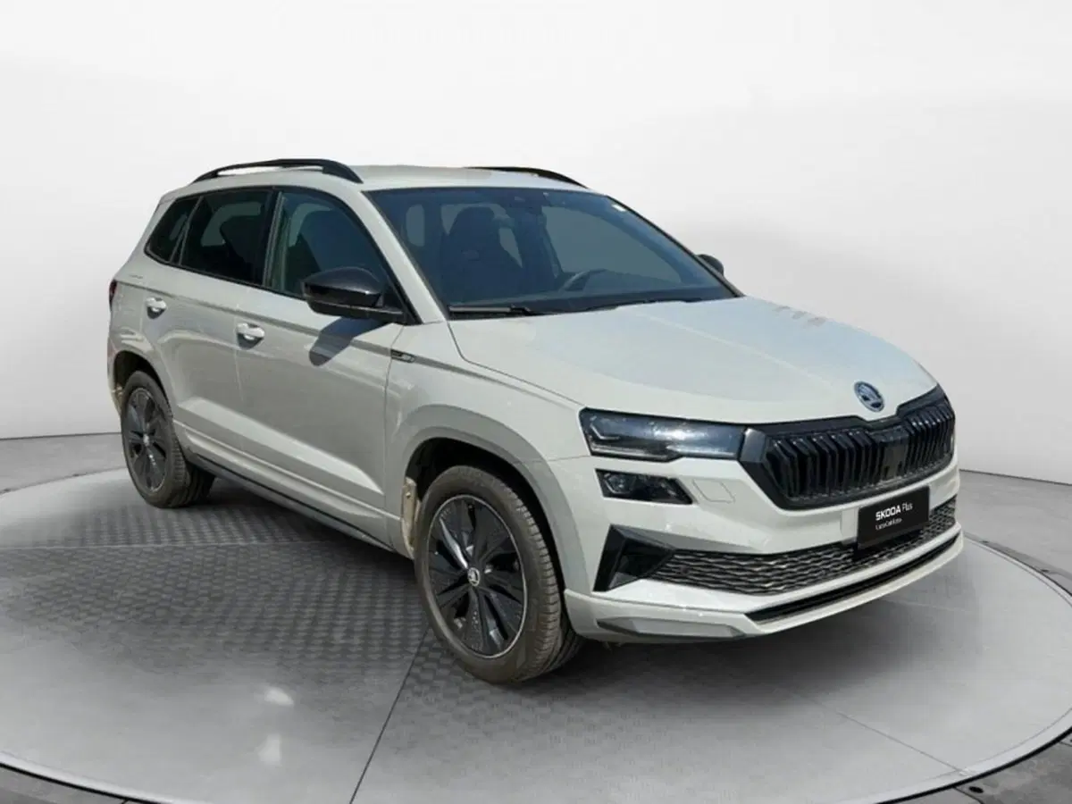Skoda Karoq usata a Salerno (2)