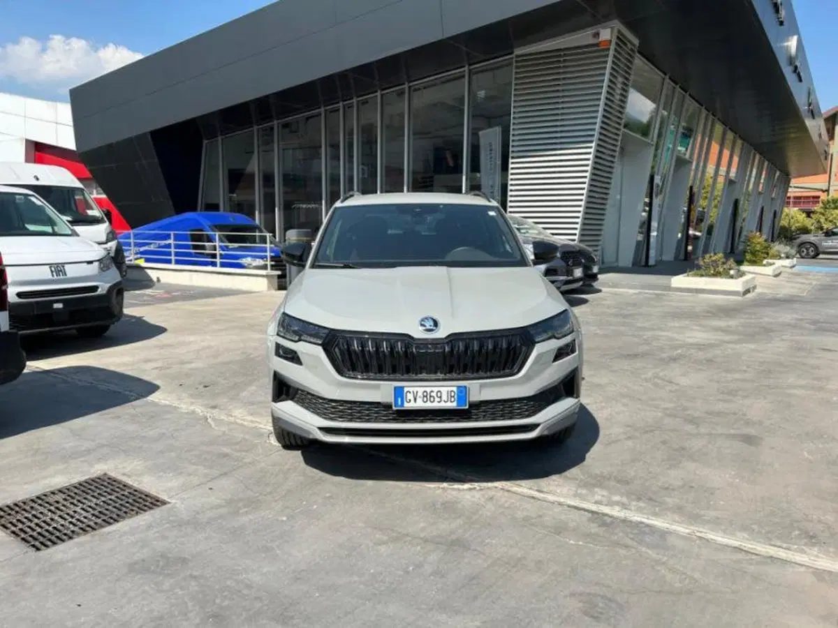 Skoda Karoq usata a Salerno (9)