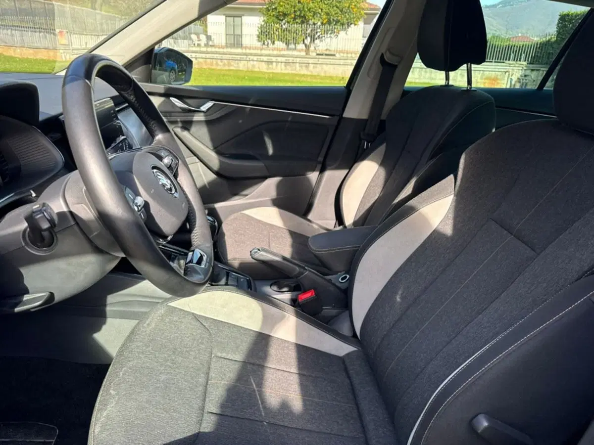 Skoda Kamiq usata a Salerno (6)