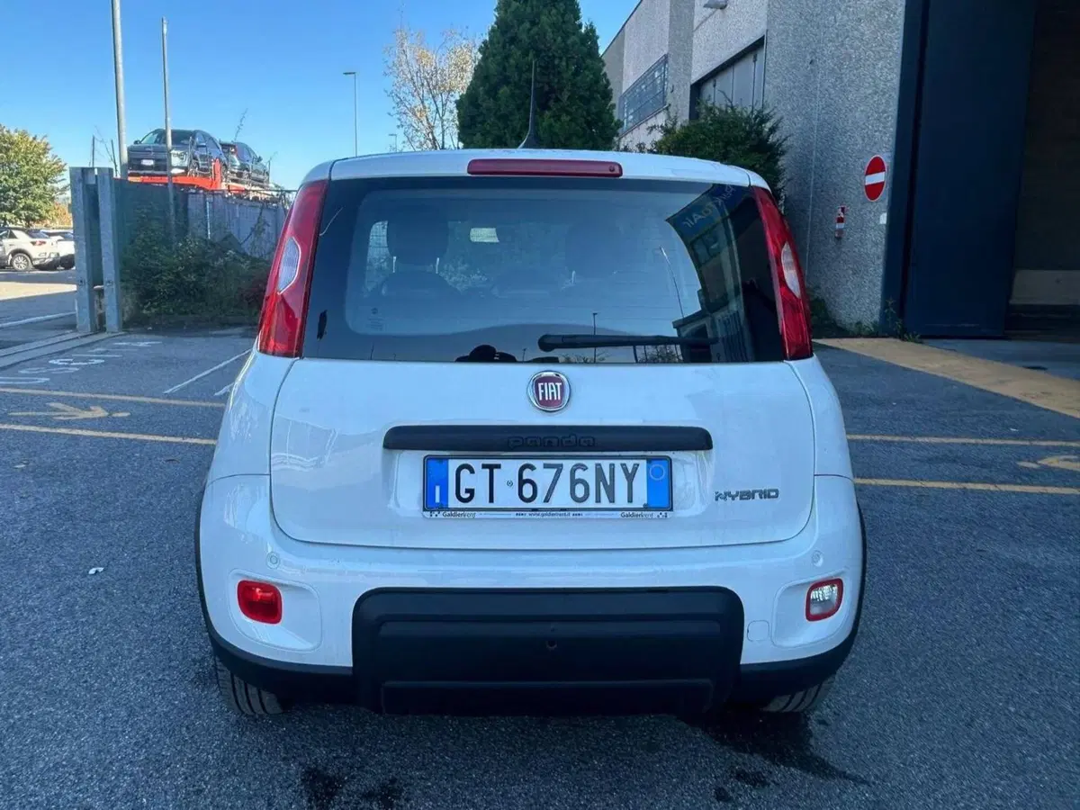 Fiat Panda Cross usata a Salerno (11)