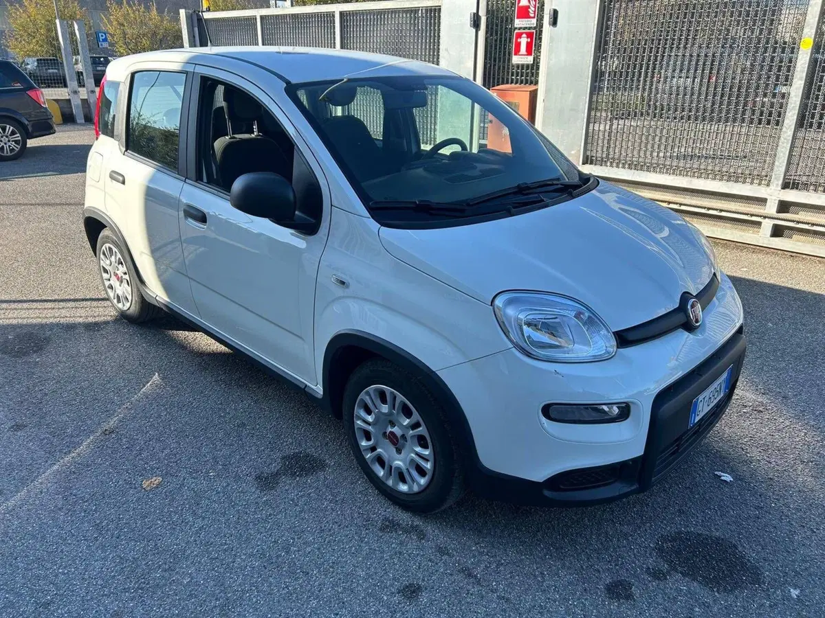 Fiat Panda Cross usata a Salerno (2)