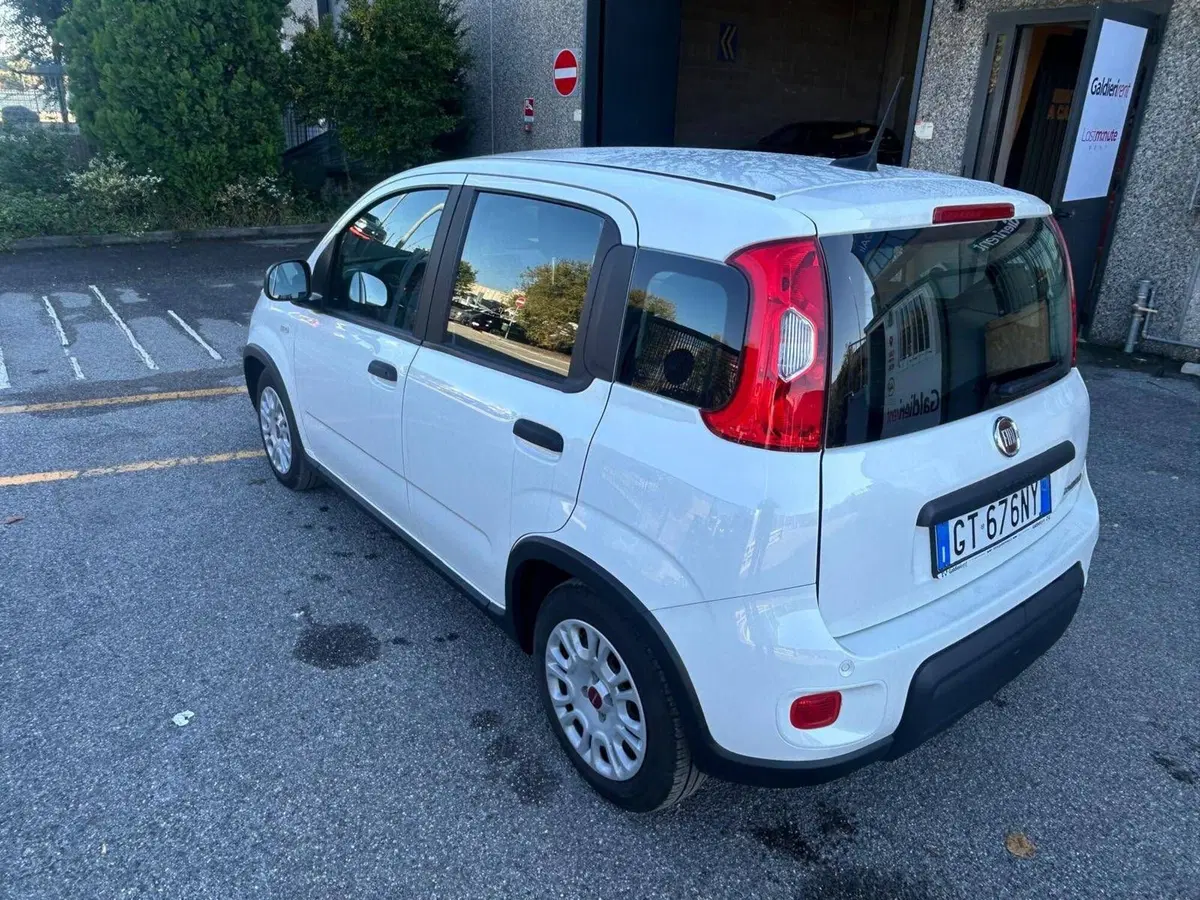 Fiat Panda Cross usata a Salerno (3)