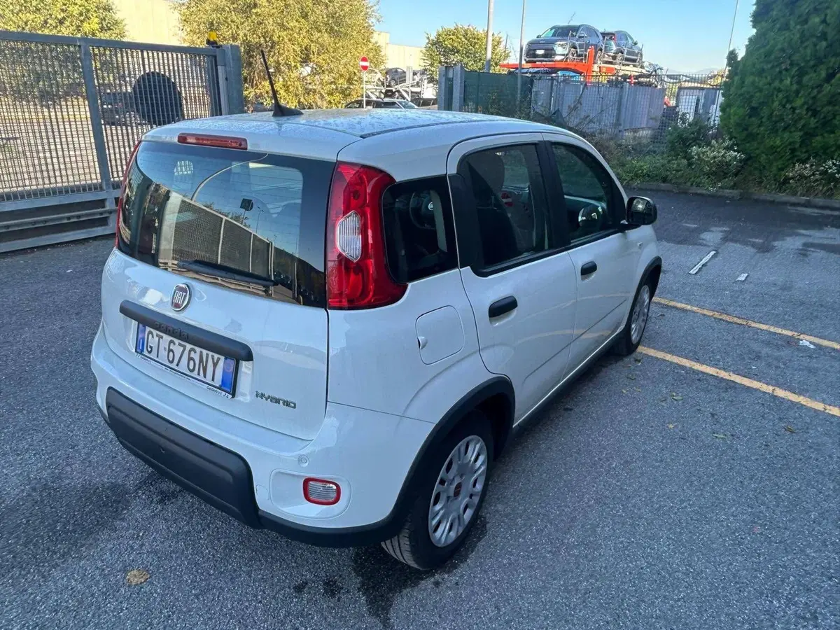 Fiat Panda Cross usata a Salerno (4)