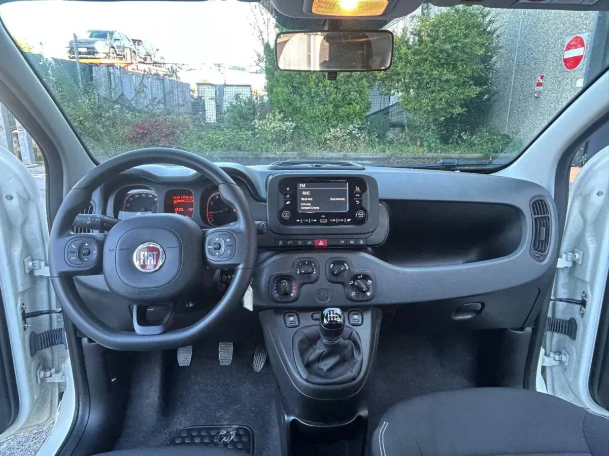 Fiat Panda Cross usata a Salerno (5)