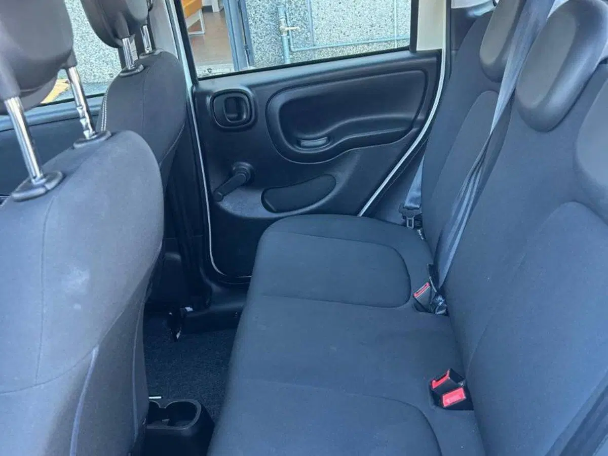 Fiat Panda Cross usata a Salerno (7)
