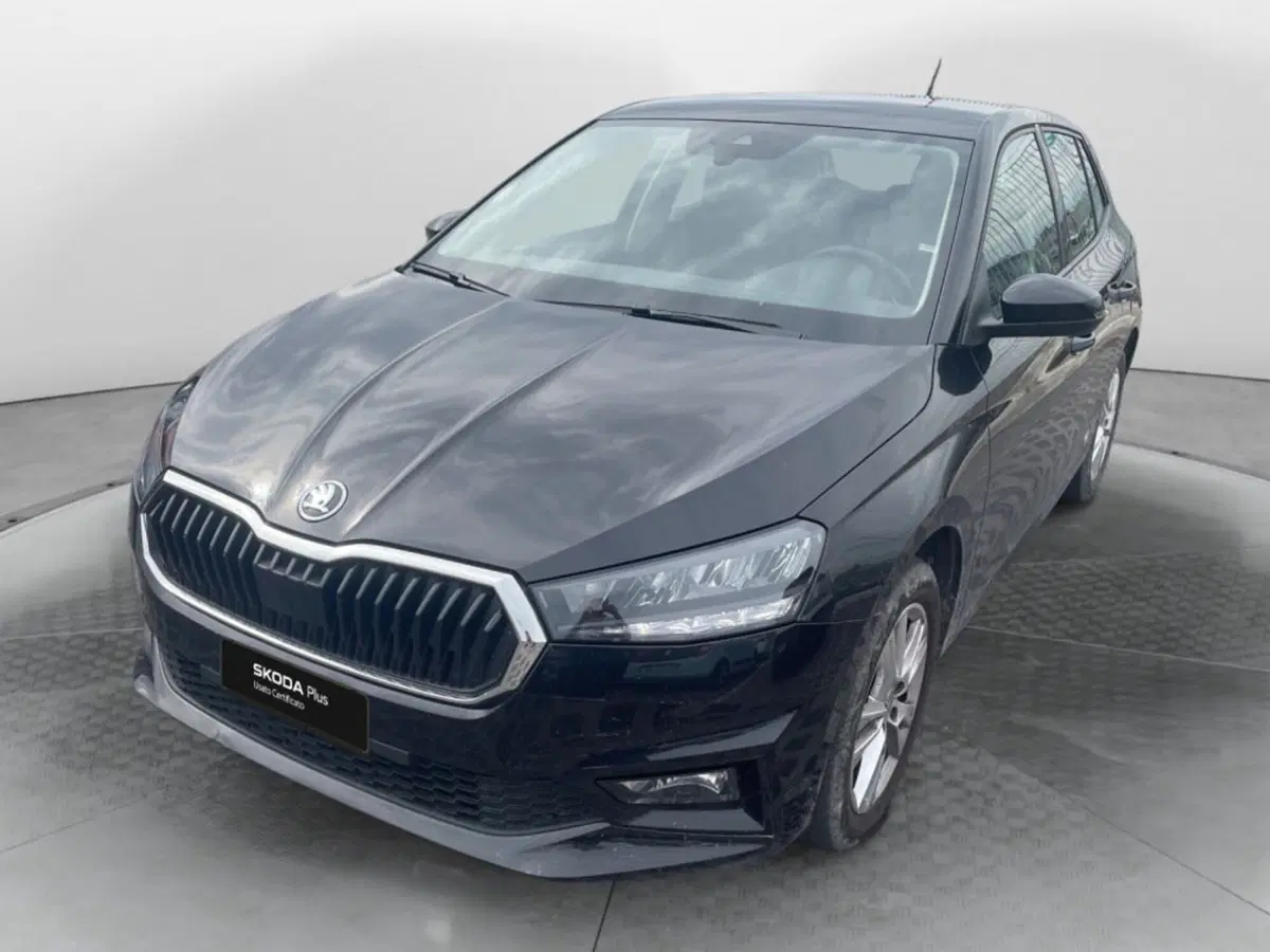 Skoda Fabia usata a Salerno