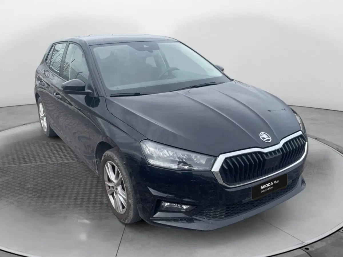 Skoda Fabia usata a Salerno (2)