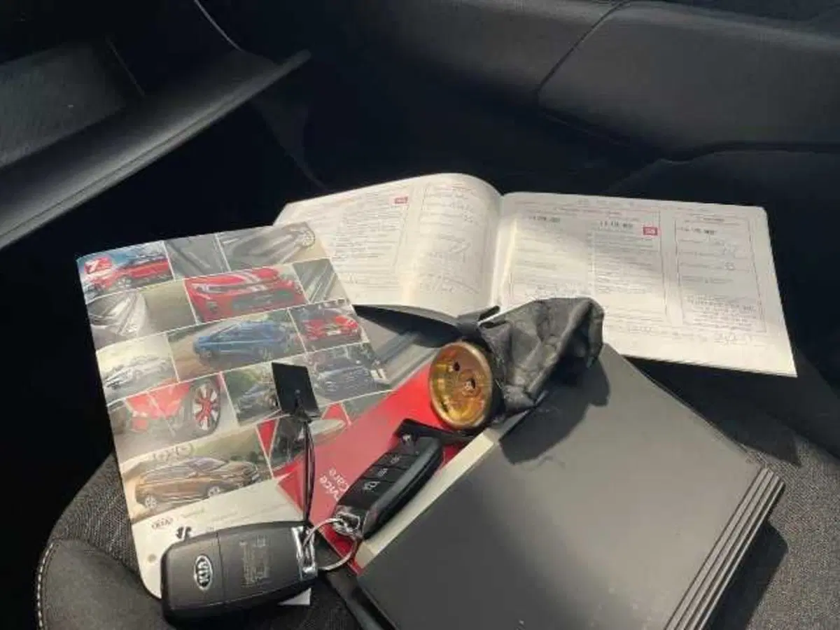 Kia Picanto usata a Pistoia (18)