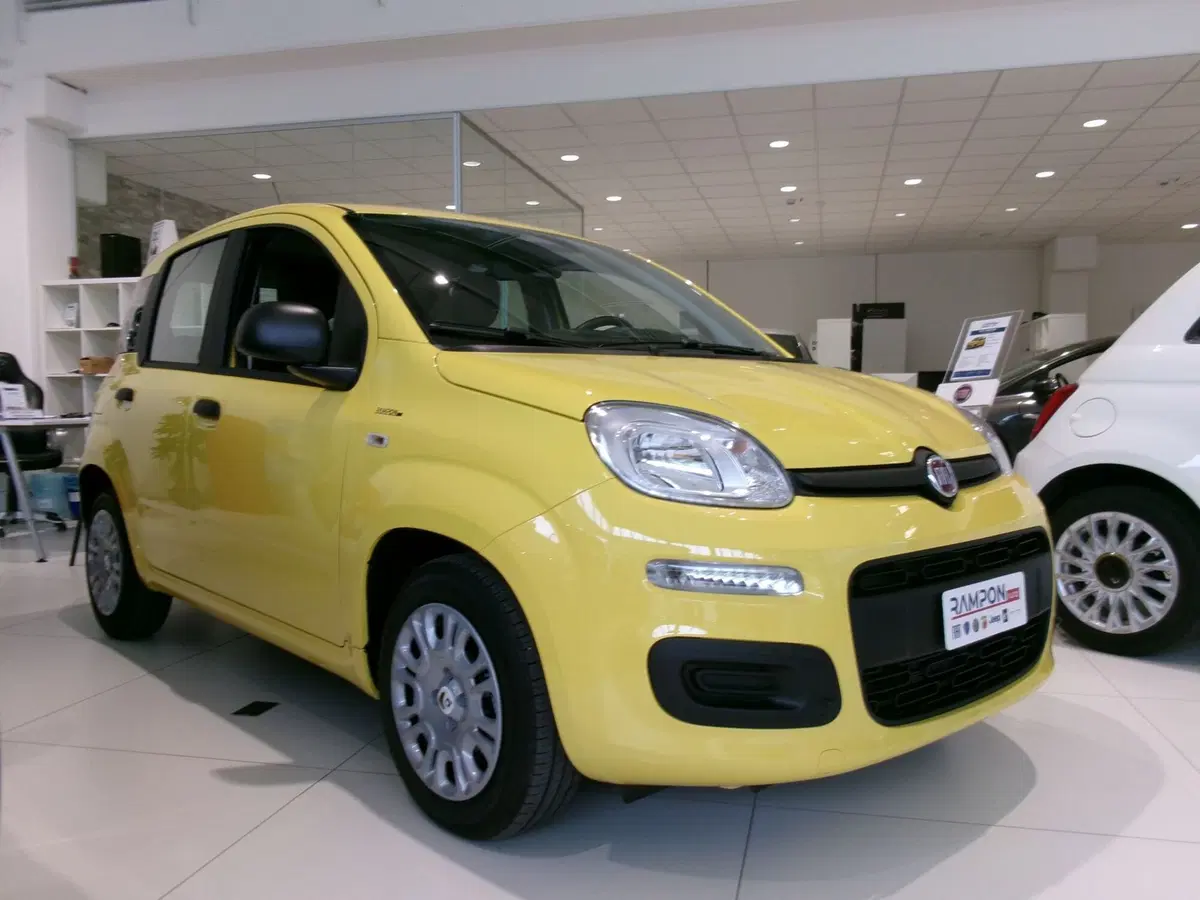 Fiat Panda usata a Venezia (5)
