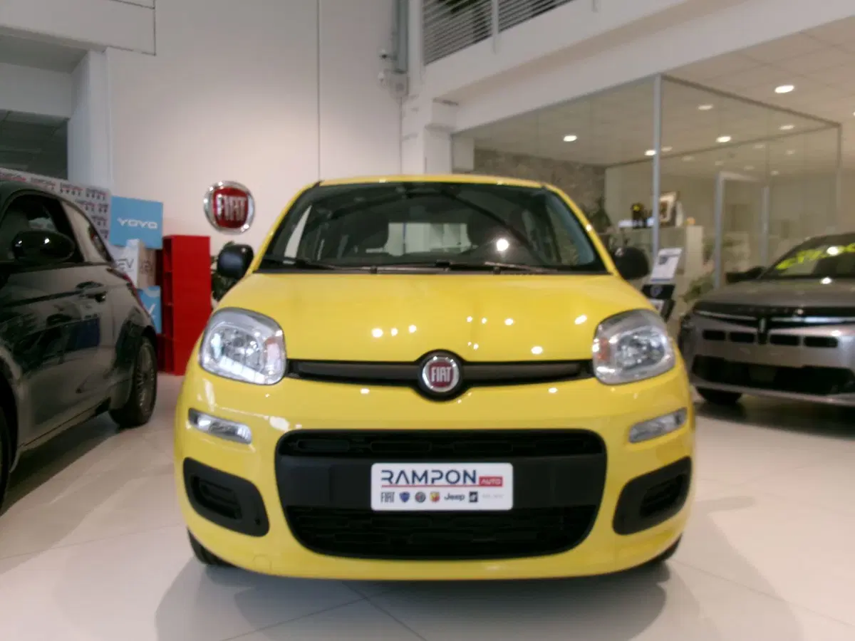 Fiat Panda usata a Venezia (6)