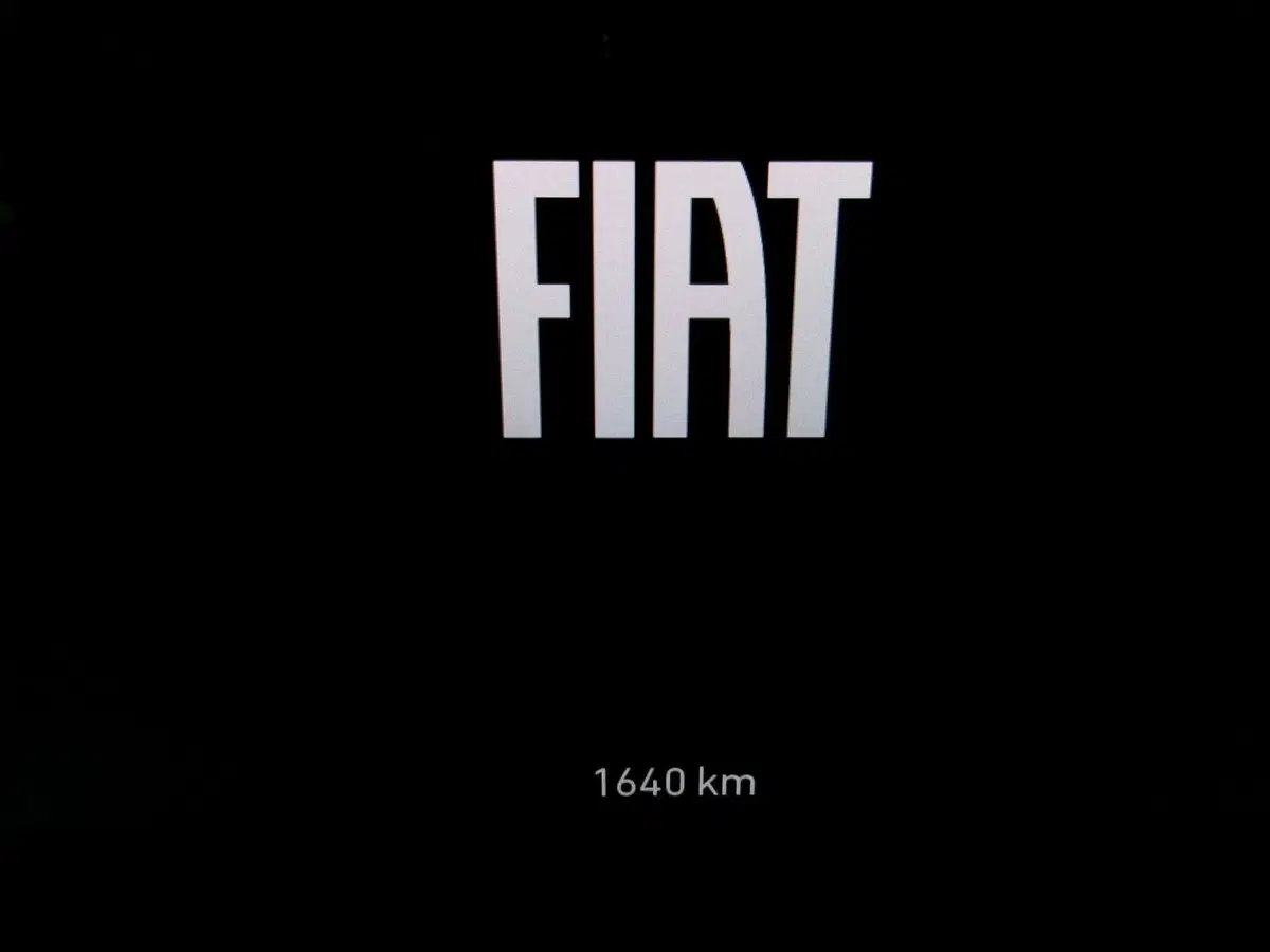 Fiat Panda usata a Venezia (7)