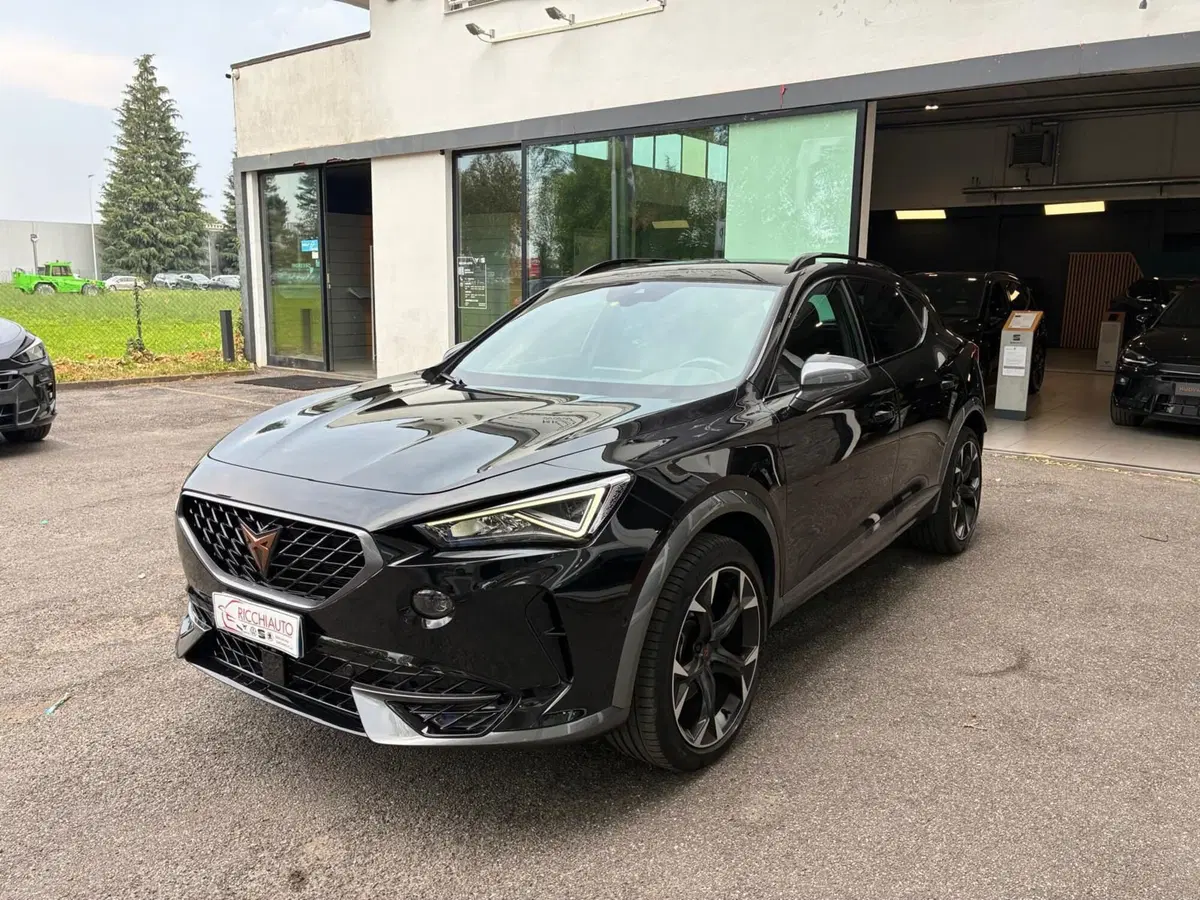 Cupra Formentor usata a Monza e Brianza (2)