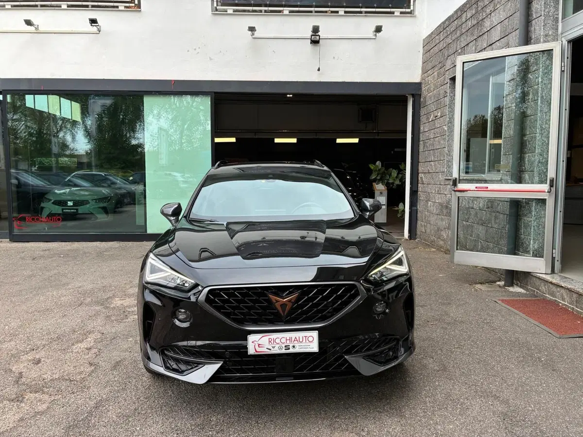 Cupra Formentor usata a Monza e Brianza (5)