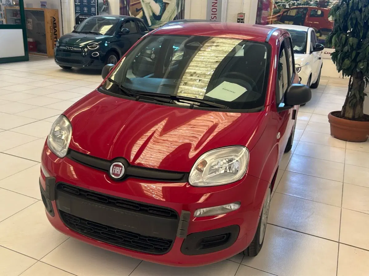 Fiat Pandina nuova a Bergamo (14)