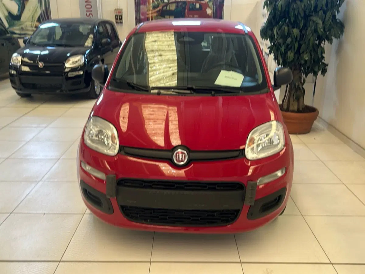 Fiat Pandina nuova a Bergamo (2)