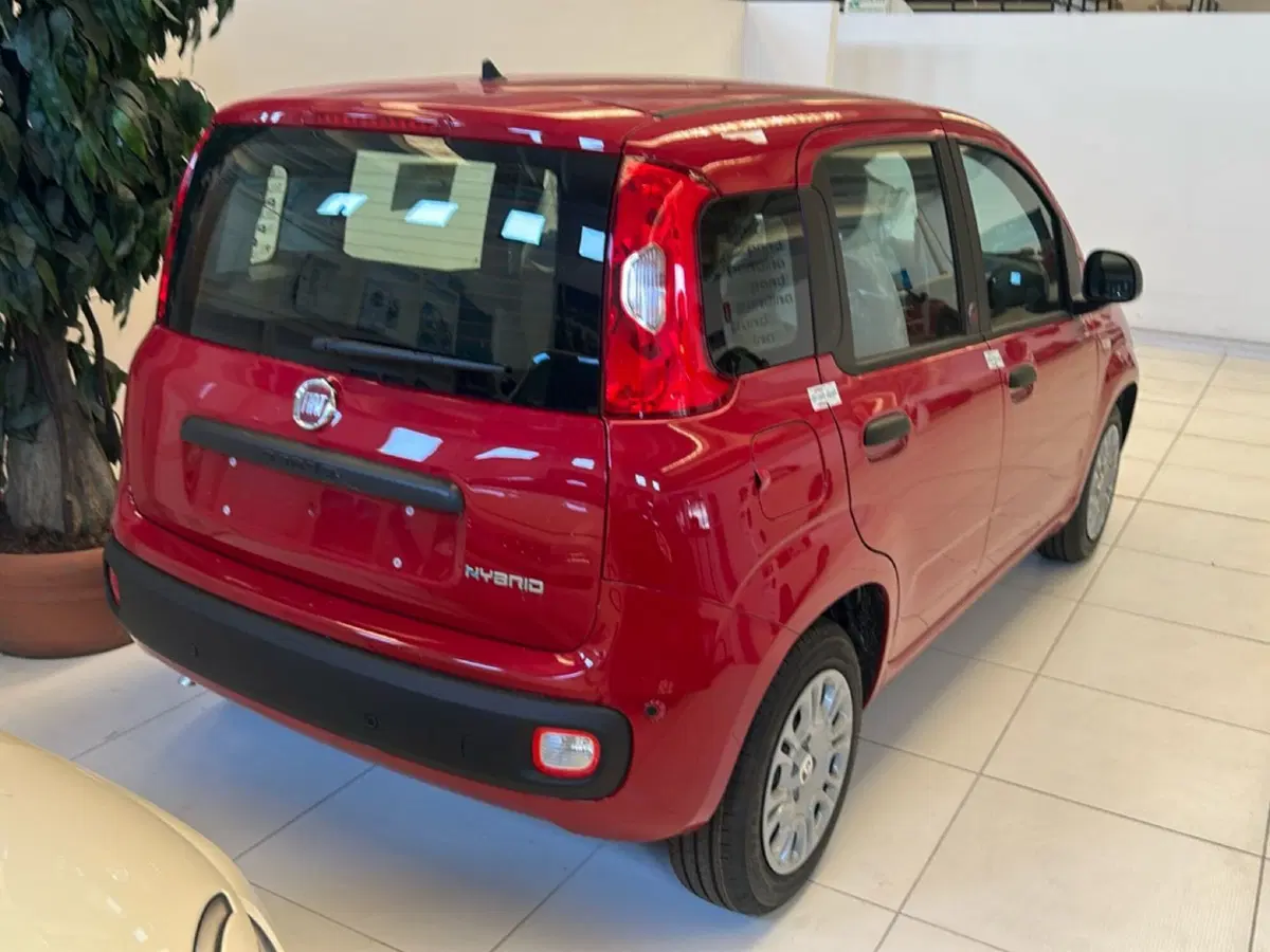 Fiat Pandina nuova a Bergamo (3)