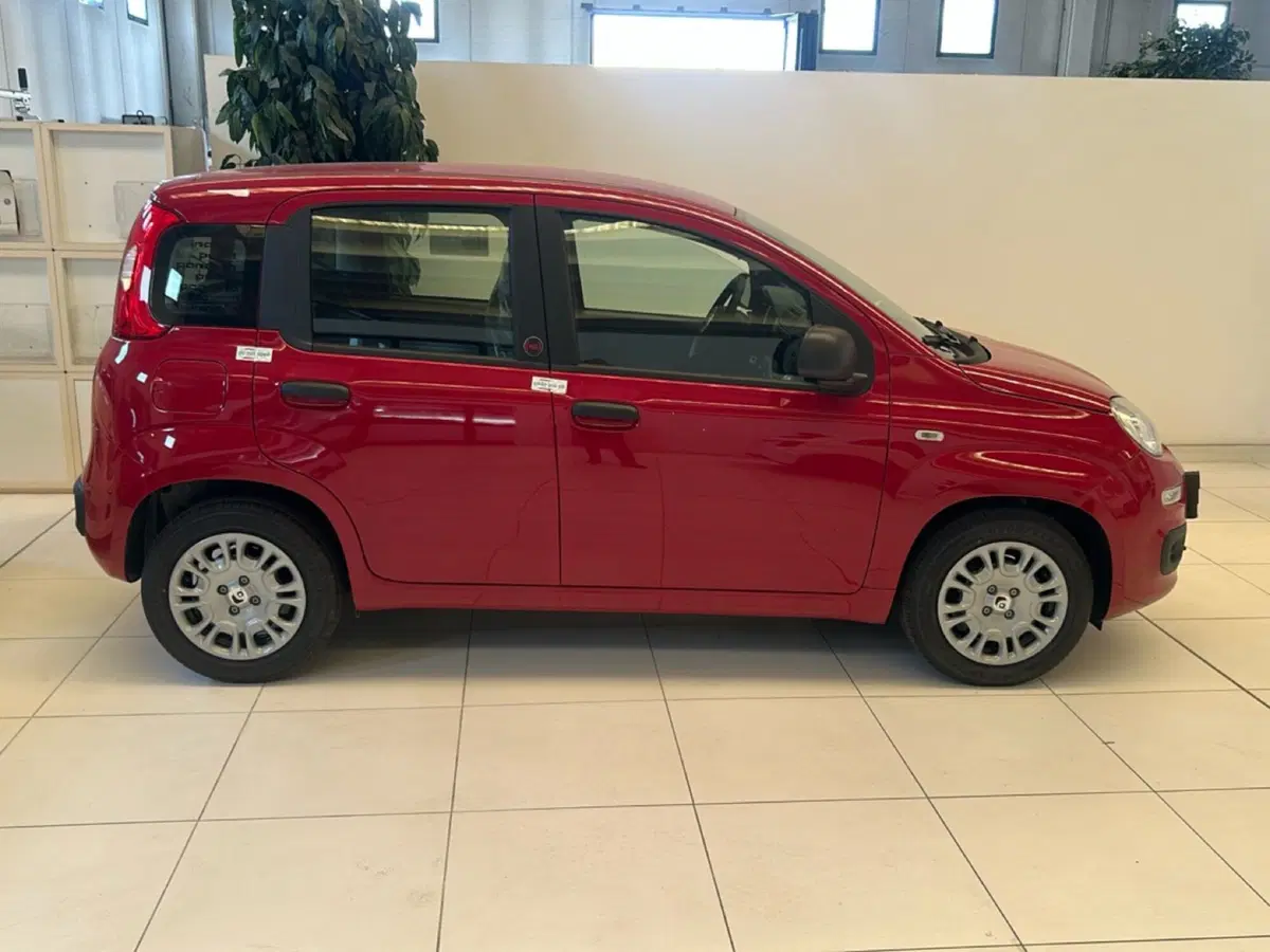 Fiat Pandina nuova a Bergamo (4)