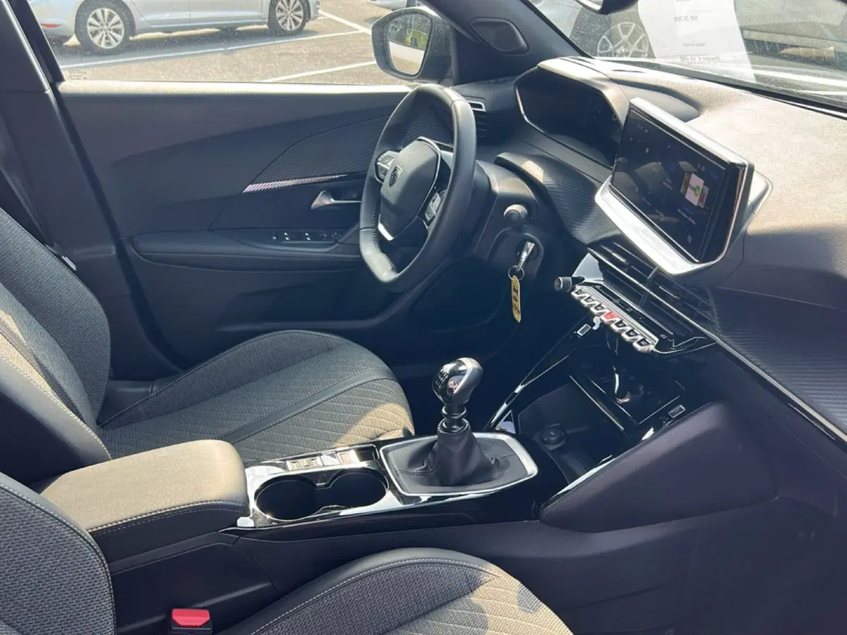 Peugeot 2008 usata a Bergamo (18)