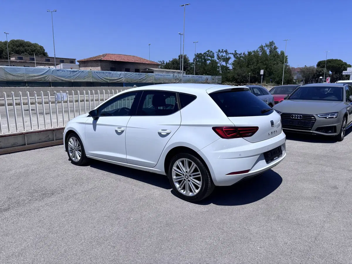 SEAT Leon usata a Ancona (7)