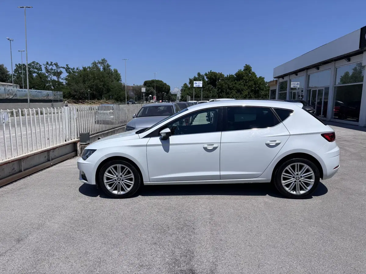 SEAT Leon usata a Ancona (8)