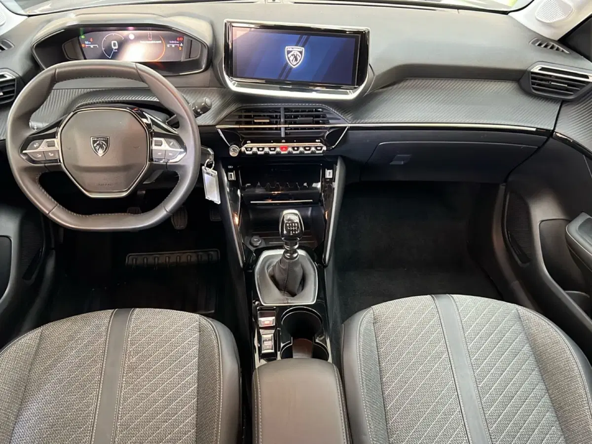 Peugeot 208 usata a Roma (11)