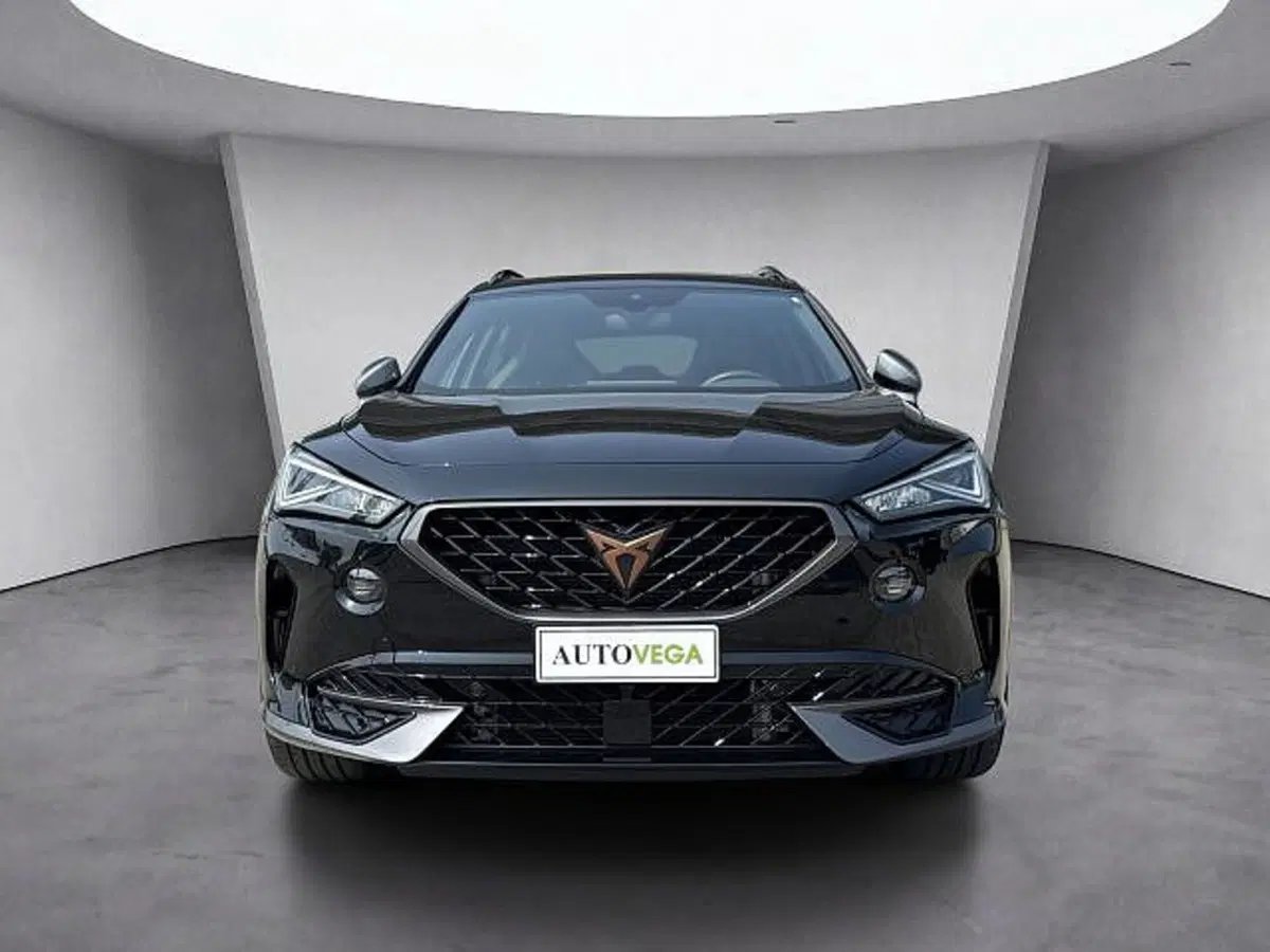 Cupra Formentor usata a Vicenza (2)
