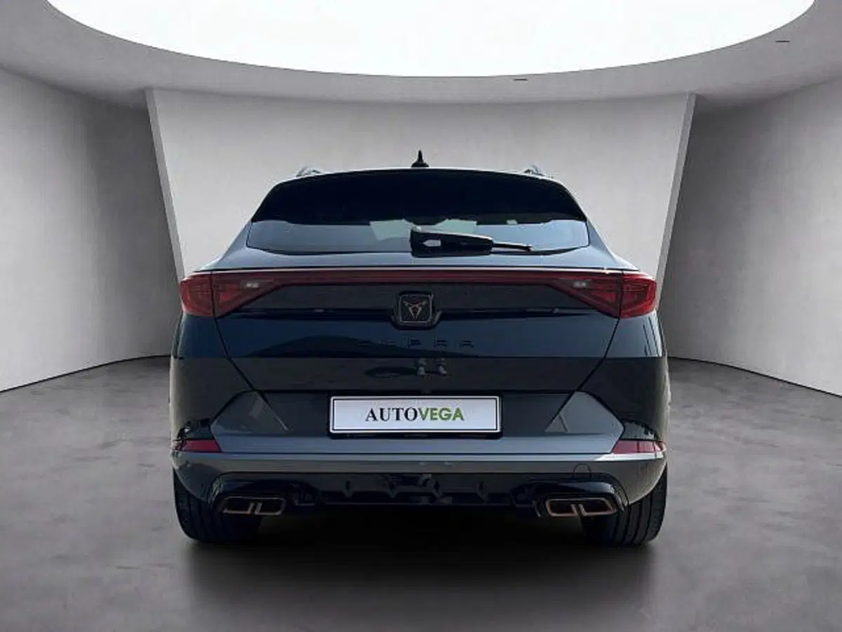 Cupra Formentor usata a Vicenza (5)