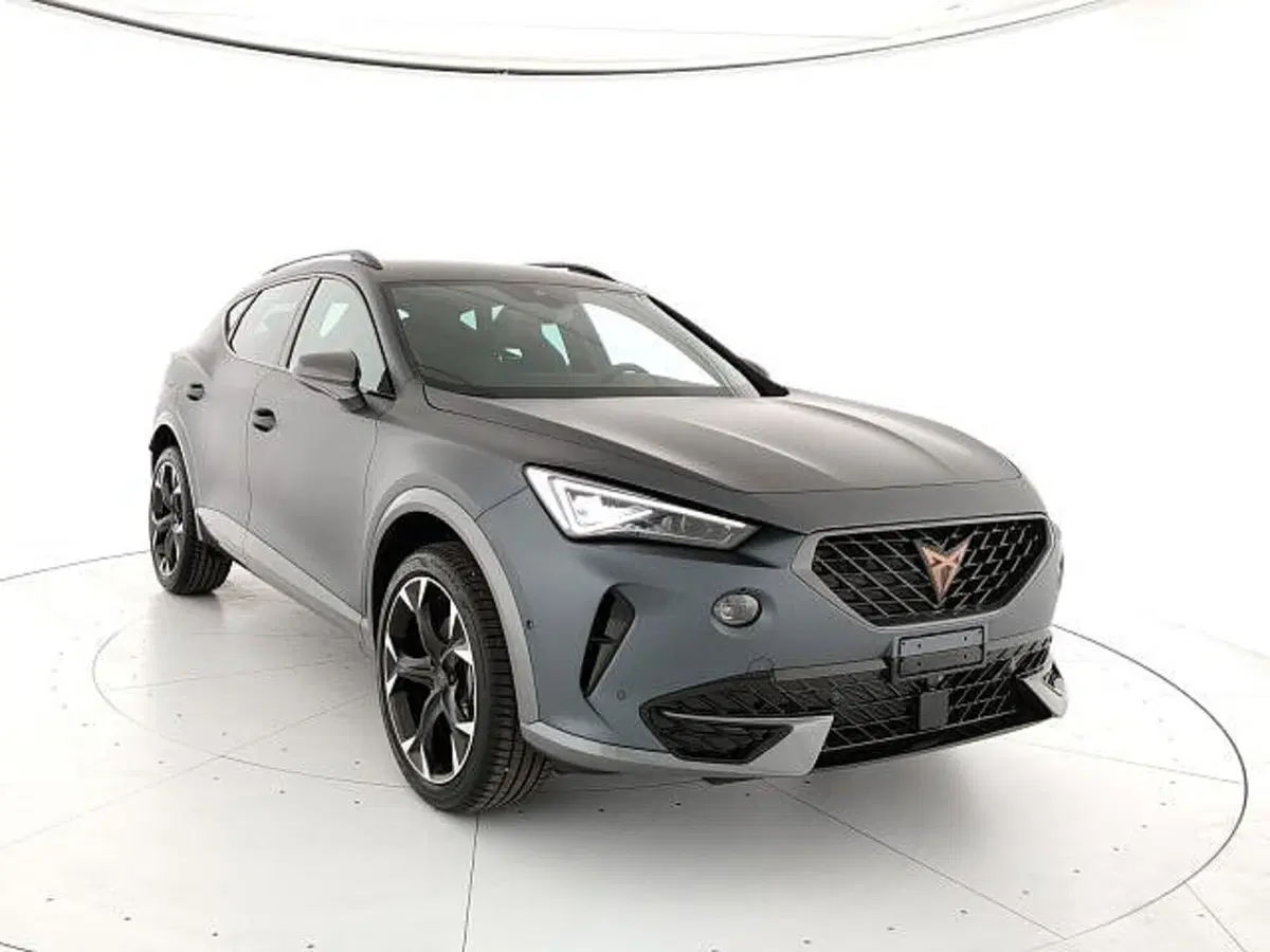 Cupra Formentor usata a Vicenza (6)