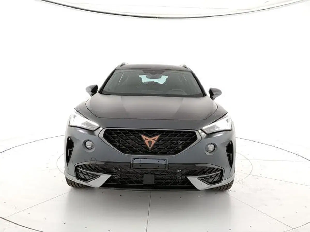 Cupra Formentor usata a Vicenza (7)