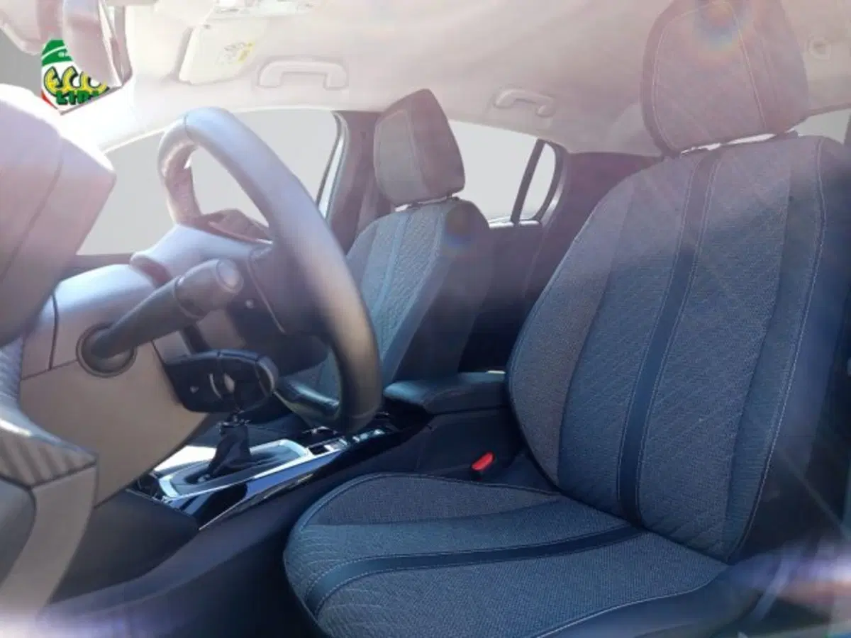 Peugeot 208 usata a Frosinone (9)