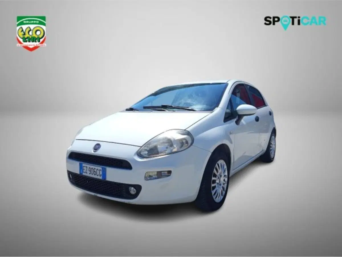 Fiat Punto usata a Frosinone