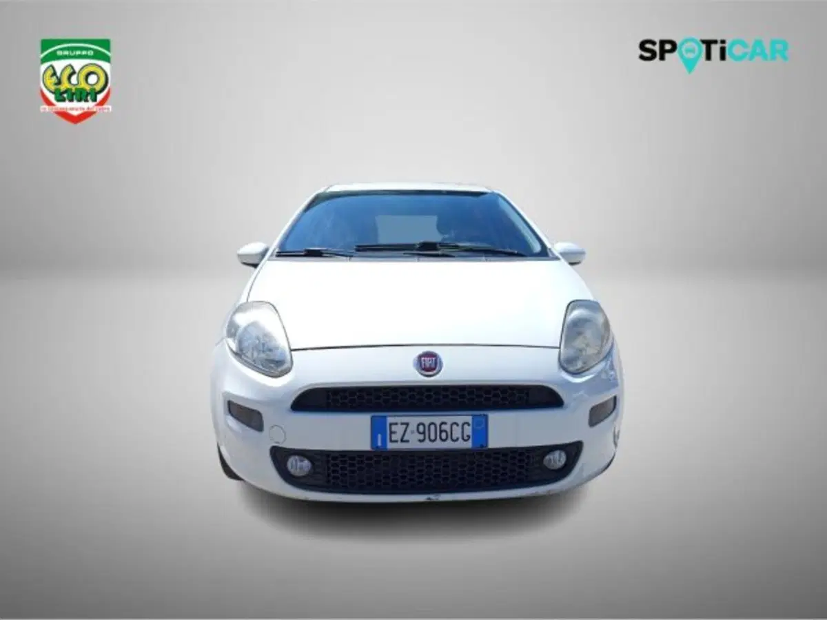 Fiat Punto usata a Frosinone (2)