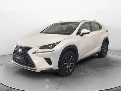 Lexus NX Hybrid 4WD Premium del 2020 usata a Torino