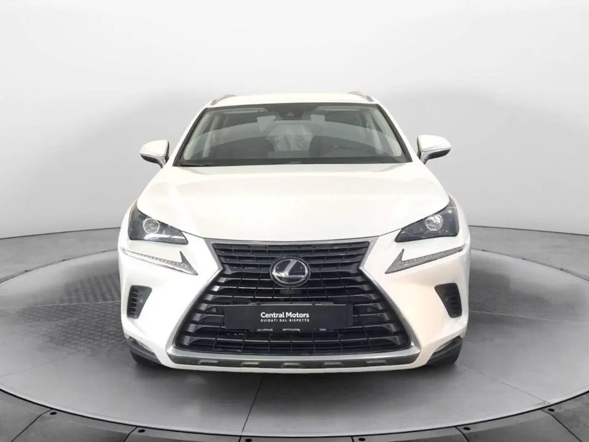 Lexus NX usata a Torino (2)