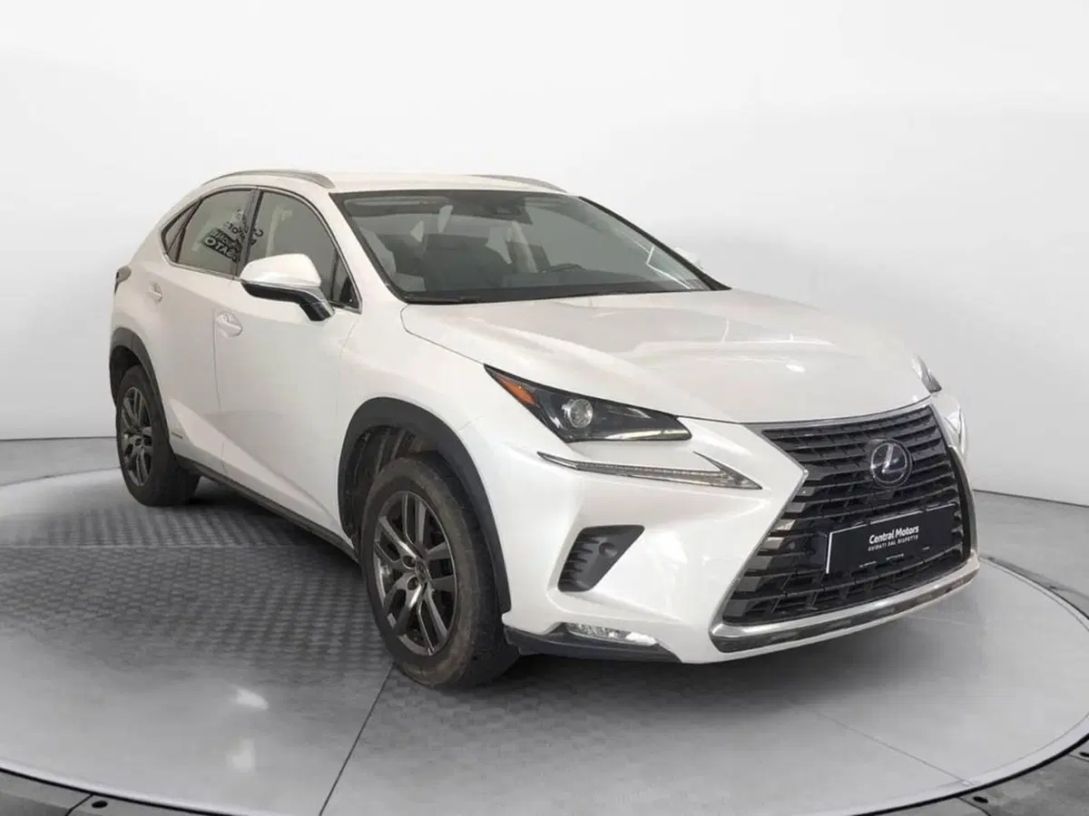 Lexus NX usata a Torino (3)