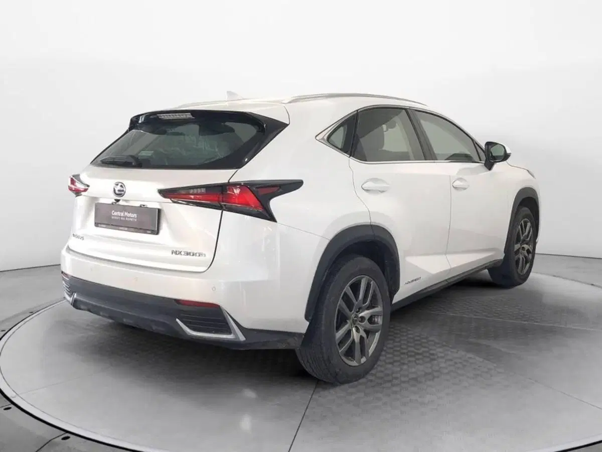 Lexus NX usata a Torino (4)