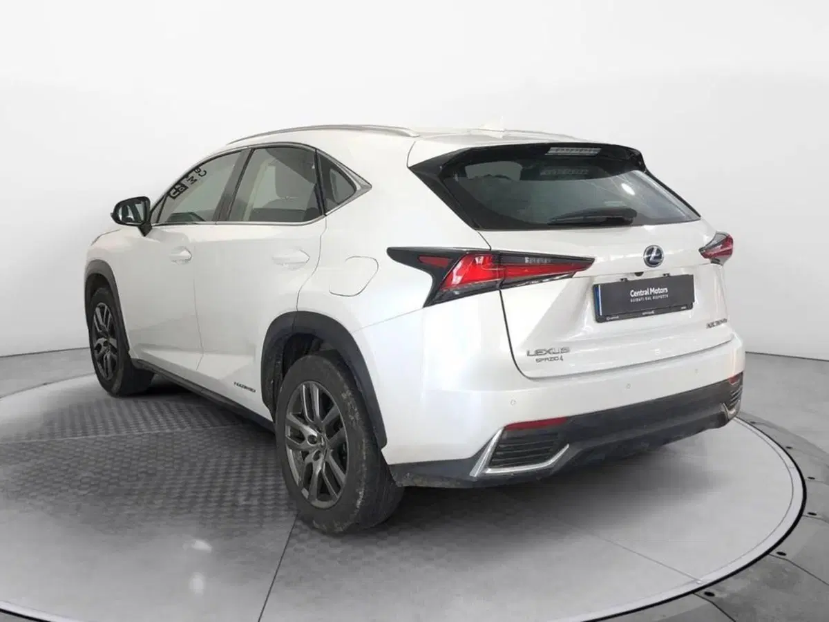 Lexus NX usata a Torino (5)
