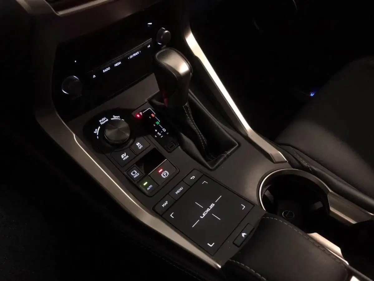 Lexus NX usata a Torino (7)